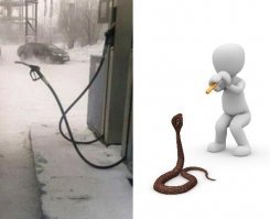 Водила факир чёли?