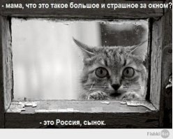 «Исчезли целые улицы»: как канализация взорвала город
