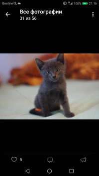 И ещё одного черно беленького подружке отдали. Из этих троих. А вот это первенцы)) там ещё был рыжий котенок, его сразу забрали, коробку мне с 5ю котятами подкинули под дверь , и ещё у меня был черненький, его тоже забрали)))