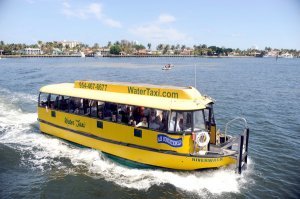 Типа маршрутки в Южной Флориде