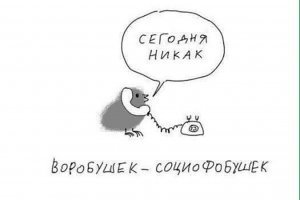 это в японии вся <span style='color:gray'>[мат]</span> , а у нас проще , Воробушек социофобушек