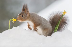 20 самых шедевральных снимков, когда-либо сделанных для National Geographic 
