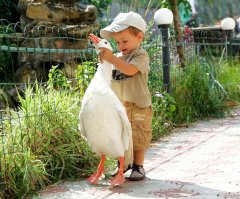 Да этот пилот и в детстве ничё не мог )))