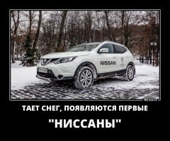 Смешные картинки с надписями