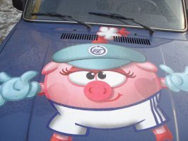 Автовсячина