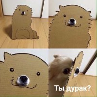 Большие собаки снова в моде