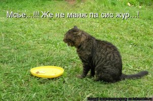 Великая стройка ГУЛАГа: как после войны Сахалин попытались сделать «полуостровом»