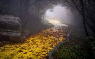 Так вот ты какая,американская дорога из желтого кирпича.