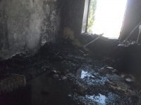 Это ори ещё поскромничали