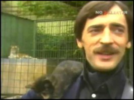 Но тигры у ног его сели