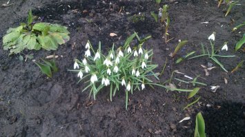 Посреди Москвы.