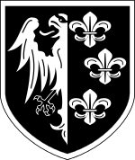 Думаю это ответ на вопрос:

33-я гренадерская дивизия СС  Шарлемань  (1-я французская) (нем. 33. Waffen-Grenadier-Division der SS  Charlemagne  (französische Nr. 1))   дивизия в составе войск СС. Названа в честь Карла Великого (фр. Charlemagne). Большая часть солдат и офицеров дивизии была добровольцами и мобилизованными из Франции. Дивизия вела боевые действия в конце войны и была уничтожена советскими войсками совместно с войсками союзников. Некоторая часть солдат дивизии попала в плен к американцам.