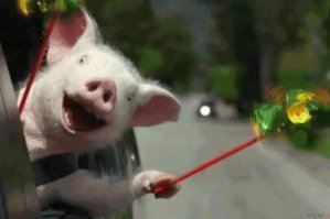 Смешные картинки с надписями