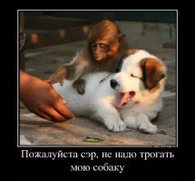 Картинки с надписями для настроения