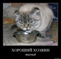 Суки людишки... Котов обижать низзя!
