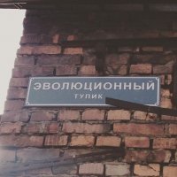 Подборка картинок с животными