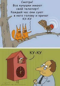 Кукушка и интересные факты о ней