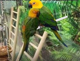 Не грустите:)