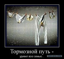 Не следил за дорогой и чудом не устроил аварию на ночной трассе