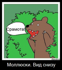 16 вещей, глядя на которые, вы не сразу поймете, что это такое