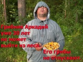 Мишаня — странный грибник