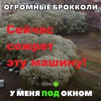 Картинки с надписями для настроения