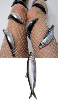 Фотоподборка за 28.02.2018