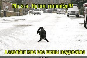 Смешные комментарии и высказывания из социальных сетей