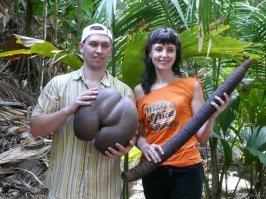 16 вещей, глядя на которые, вы не сразу поймете, что это такое