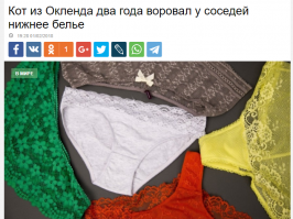 Это не всегда приносит пользу. В данном случае жена обвинила мужа в измене.