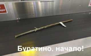 Смешные картинки с надписями