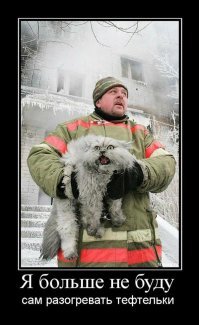 Пожарные вернули к жизни пострадавшего котика  