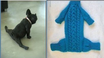 Снова здорово. Волочкова показывает шпагат на коне