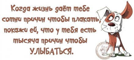 Была успешным бухгалтером, а стала разносчицей обедов