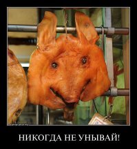 Была успешным бухгалтером, а стала разносчицей обедов