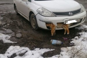 а это таганрог-делаем выводы....
