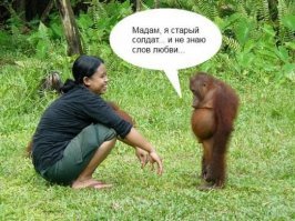 Зарина! Да дай уже мужику! 