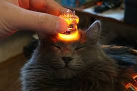 Доверчивый муж и жена-брехунья