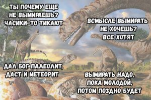 Ещё несколько теорий в копилку!