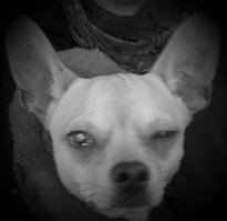 Картинки с надписями для настроения