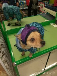 Картинки с надписями для настроения