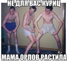 Киски, готовьтесь, сейчас вас будут любить крутые мачо!