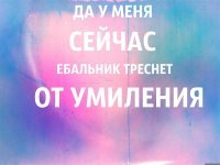 Дарья Донцова! Перестань!
что ты со мной делаешь?!