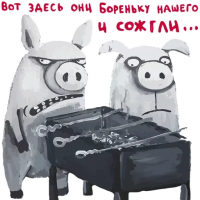 Малыш-телёнок Бобо обрёл дом благодаря объявлению на Facebook