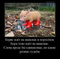 Съели друга!