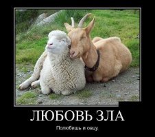 10 самых неожиданных браков