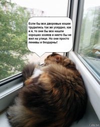 «Чё вам, бабам, надо?» — достойный ответ на острый вопрос