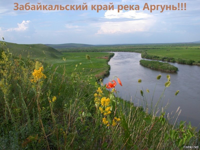 Добавлю родное Забайкалье.....