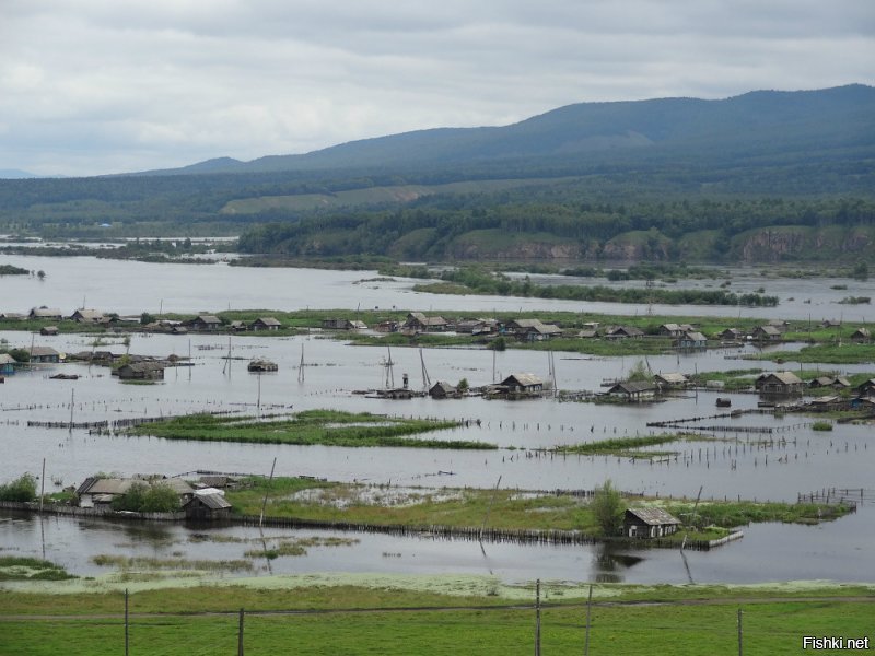 Родные просторы: несколько характерных русских пейзажей