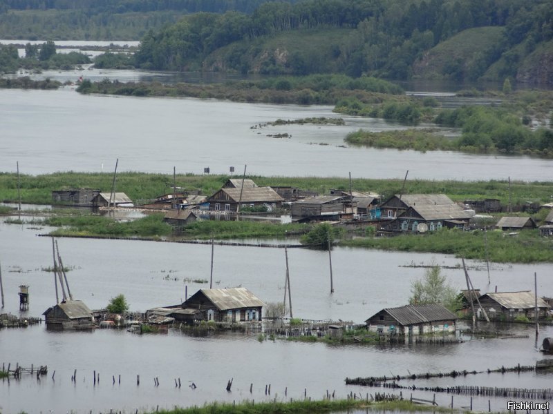 Родные просторы: несколько характерных русских пейзажей